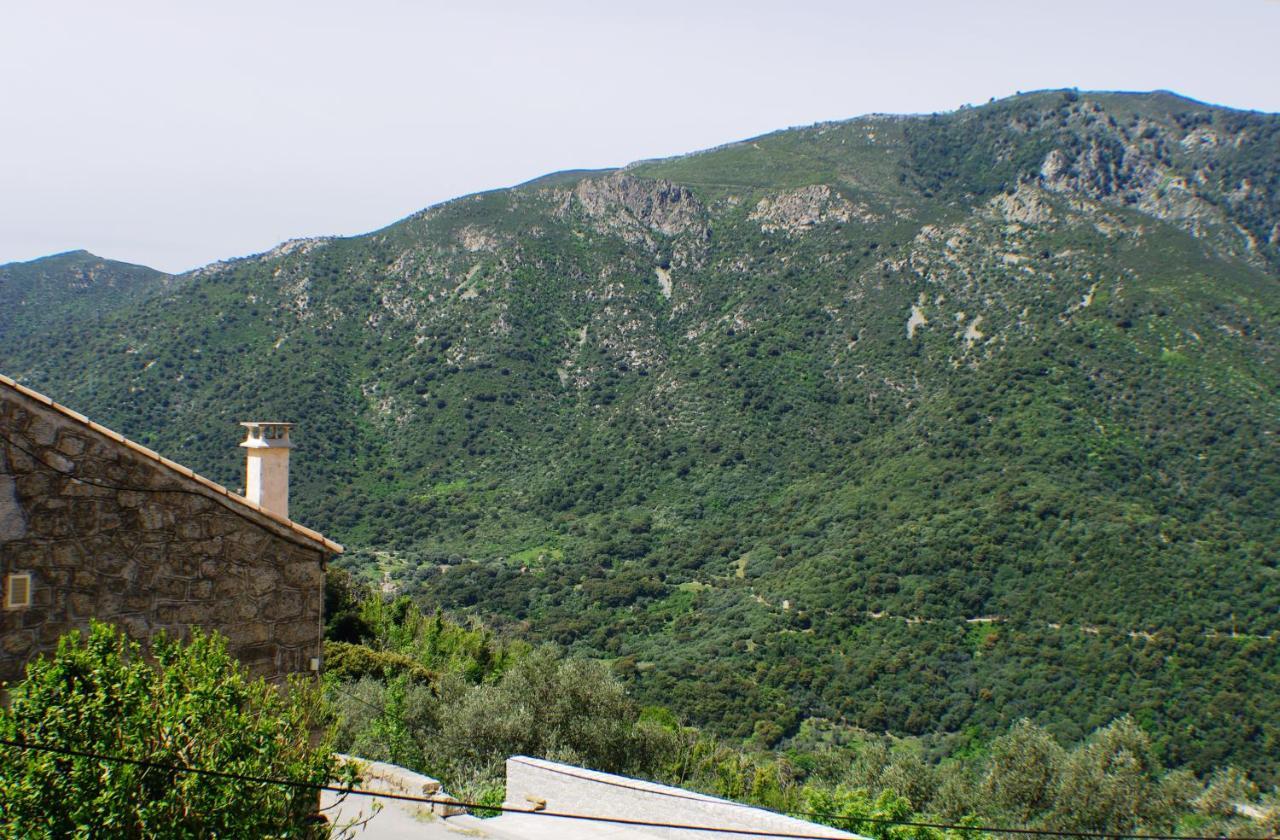Studio Le Petit Nid D'Amour Meuble Tourisme 3 Etoiles Poggio Santa-Lucia-di-Tallano エクステリア 写真