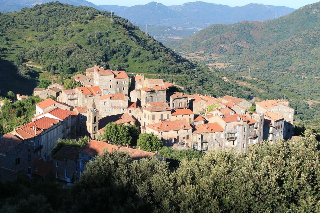Studio Le Petit Nid D'Amour Meuble Tourisme 3 Etoiles Poggio Santa-Lucia-di-Tallano エクステリア 写真