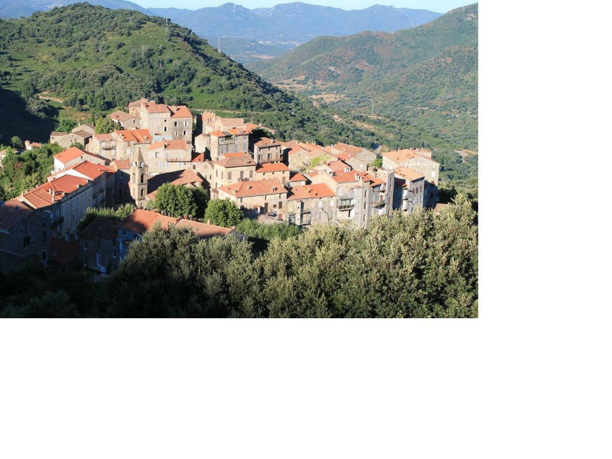 Studio Le Petit Nid D'Amour Meuble Tourisme 3 Etoiles Poggio Santa-Lucia-di-Tallano エクステリア 写真